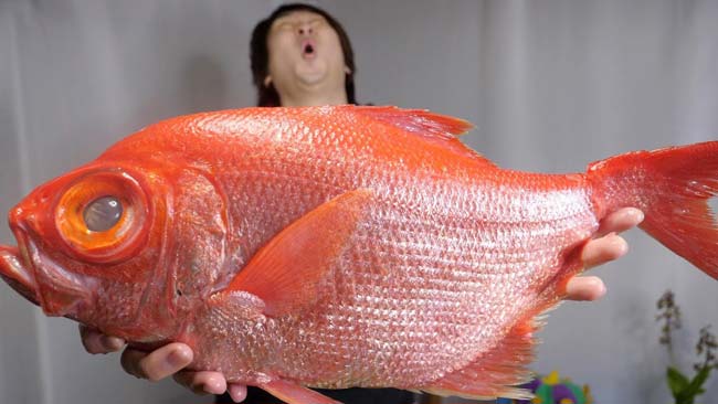 Xem người Nhật xẻ thịt cá hồng làm món sashimi truyền thống