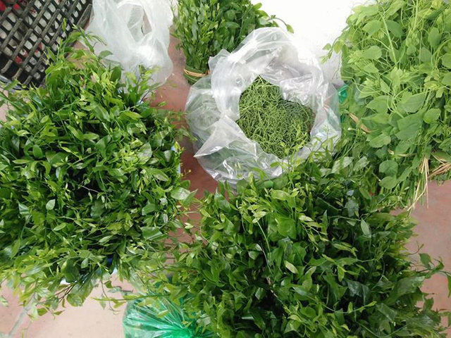 Kỳ lại loại rau có giá đắt hơn thịt ở Việt Nam