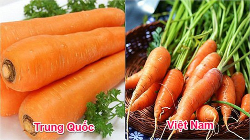 Cách phân biệt rau củ quả của Việt Nam và Trung Quốc